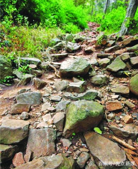 合肥大蜀山原来是火山喷发形成 有专家提议将其建成