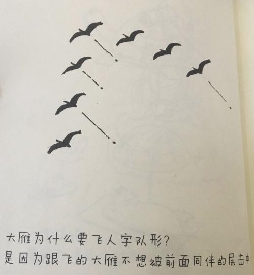 大雁为什么往南飞的手抄报 腾飞的祖国手抄报