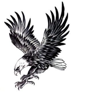 纹身贴花臂展翅雄鹰老鹰胸部胸口花臂纹身贴男女防水臂刺青025鹰2张