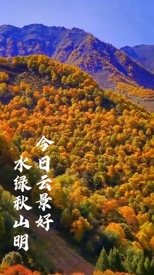 当秋日美景遇上古诗词##打卡一个秋天##2021年深秋治愈系壁纸
