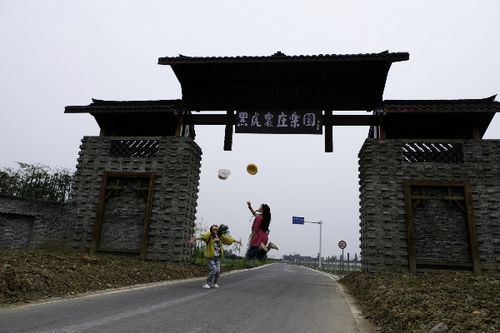 邛崃桑园镇:调结构 创3a 黑虎村持续发展