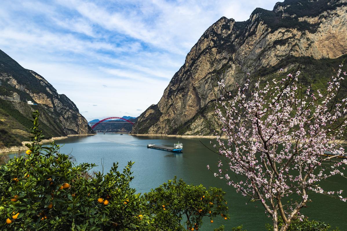 湖北秭归花艳橙香三峡美