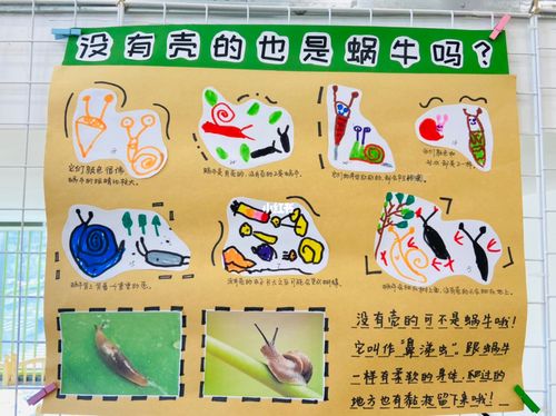 蜗牛—— 问题墙_蜗牛_幼儿园_嵊州市中心幼儿园攻略