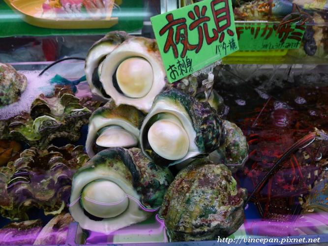 夜光蝾螺又名夜光贝(学名:turbo marmoratus),是原始腹足目蝾螺科蝾螺