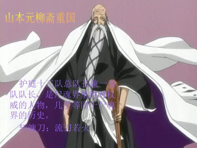 死神十三番队队长简介ppt