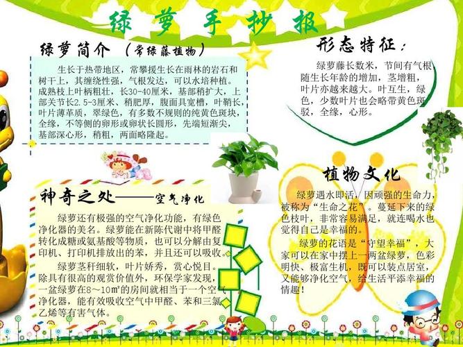 绿萝电子手抄报