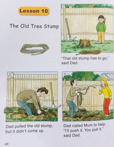3b lesson 10 the old tree stump
