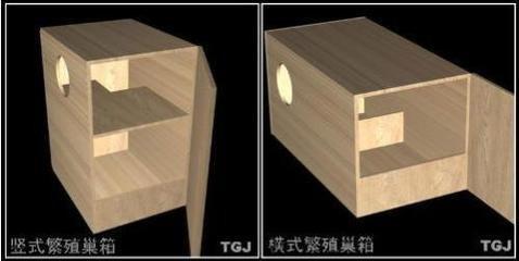 为什么虎皮鹦鹉交配了好久都没有下蛋的原因是,鹦鹉的孵化箱避光不