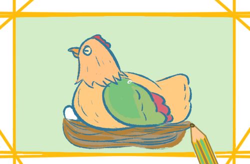 孵蛋的母鸡上色简笔画要怎么画