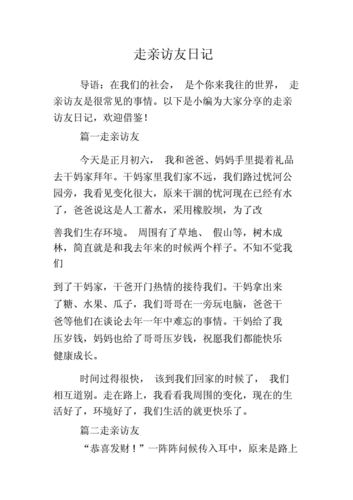 走亲访友日记doc6页