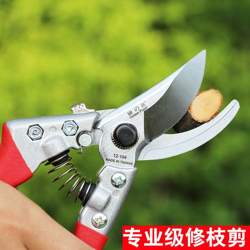 台湾进口 园艺剪刀 修枝剪刀 花剪 果树剪刀 园林剪刀 园林工具