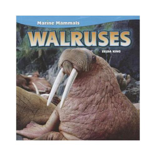 【预订】walruses