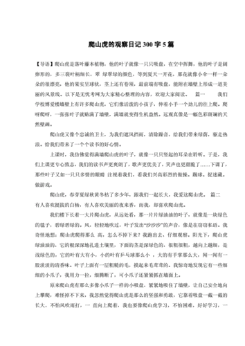 爬山虎的观察日记300字5篇.doc 3页