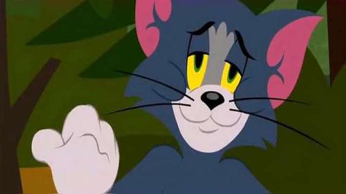 猫和老鼠:汤姆转身想吓唬小熊,可是身后却是一头大狗熊