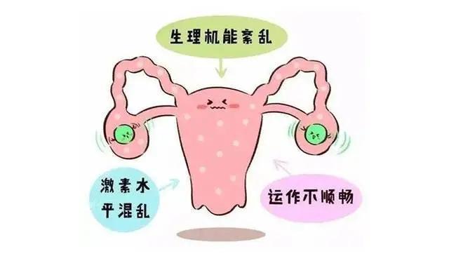 卵巢早衰如何在试管中成功逆袭