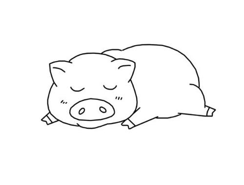 一只可爱的睡着猪猪的简笔画