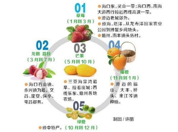03海南热带水果采摘攻略采摘指南