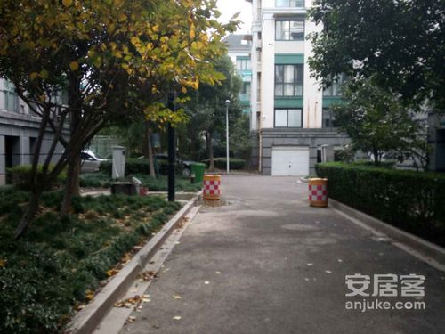 金旦花园