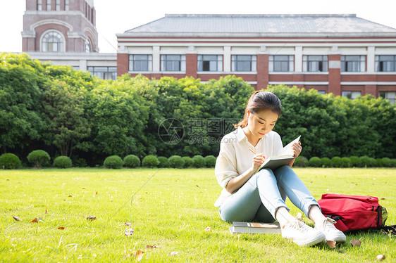 青春大学生草地上学习