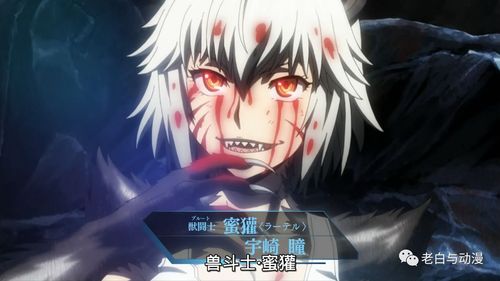 一月新番测评 | 《牙斗兽娘》,战斗热血福利皆具,一月