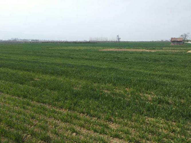 陕西西安600亩闲置耕地出租