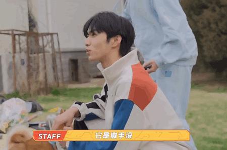 刘耀文和柴犬真狗勾的斗争