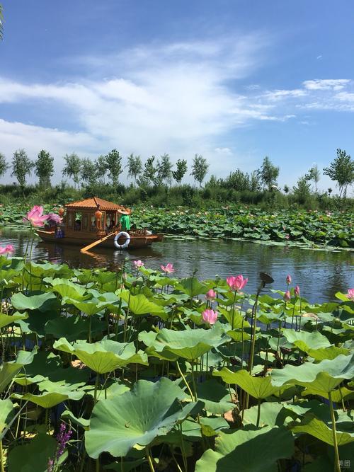 辽宁辽阳柳壕湿地公园评论