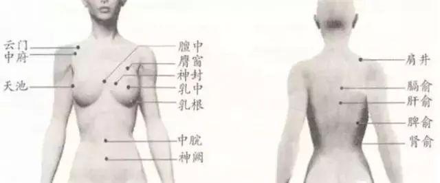 乳房护理的穴位按摩催乳疗疗法,可促进局部毛细血管扩张,增加血管