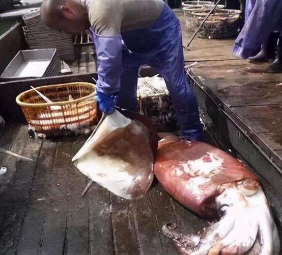 "鲁荣渔2682号"惨案:22名船员遇害,主使却是27岁小伙