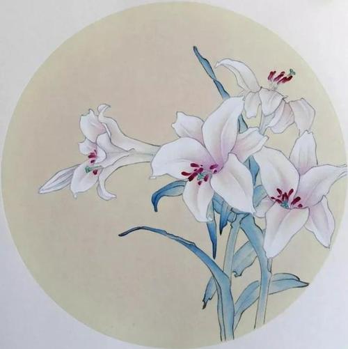 国画技法工笔百合花基础画法步骤详解