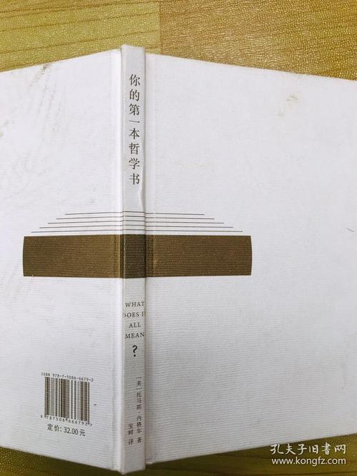 你的第一本哲学书