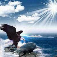 老鹰头像图片霸气 很犀牛霸气的老鹰头像_微信头像图片大全