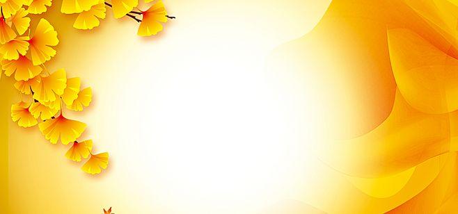 银杏叶,简约,海报banner,文艺,小清新图库,png图片,网,图片素材,背景