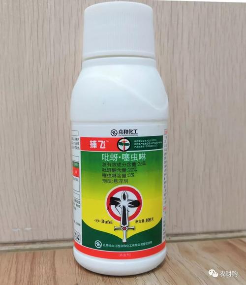 蚜虫可诱发煤烟病全面认识柑橘蚜虫的危害