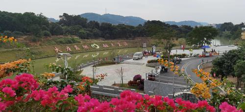 高州美丽乡村——元坝桥头村