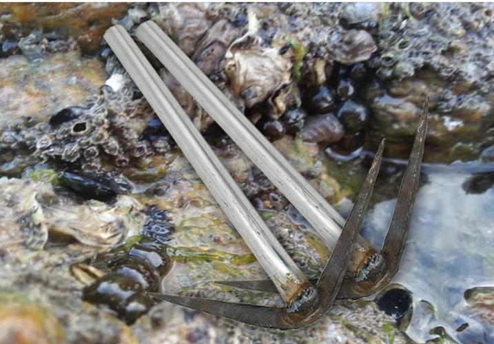 赶海工具挖海蛎子敲扇贝工具海蛎钩勾子生蚝蛤利钩子挖蚬子工具两头尖