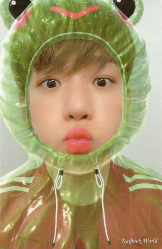 小卡匠人边伯贤 (战损妆&flip book更新!