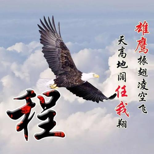 雄鹰展翅姓氏头像,雄鹰振翅凌空飞,天高地阔任我翔