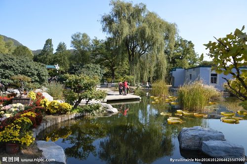 植物园美景图片