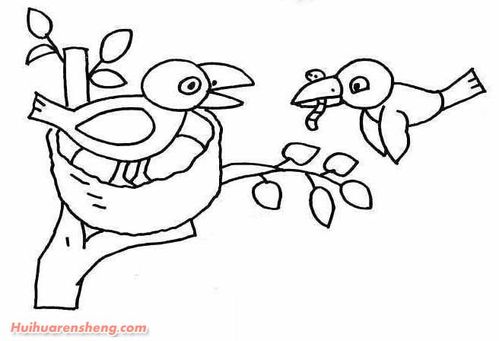 捉虫的乌鸦简笔画图片