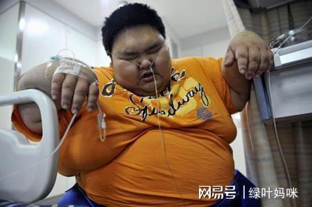 我国3~6岁幼儿肥胖率名列全球前茅,这2种原因,值得家长注意