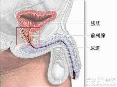 尿频尿急尿不尽的现象是怎么回事?