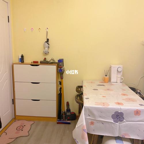 租房装饰一室一厅好物分享02_租房_梳妆台_戴森怎么