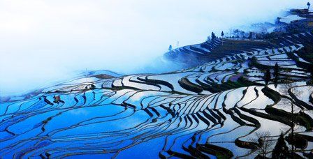 元阳哈尼梯田