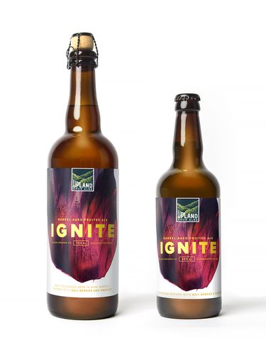 uplandsourales创意啤酒包装设计2