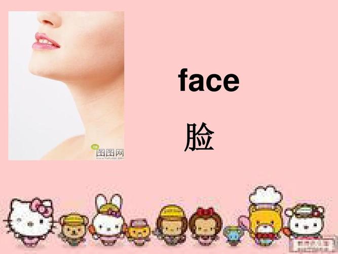 face 脸