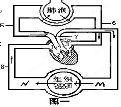 2011-2012学年重庆九龙坡区七年级下学期期末考试生物试卷(带解析)