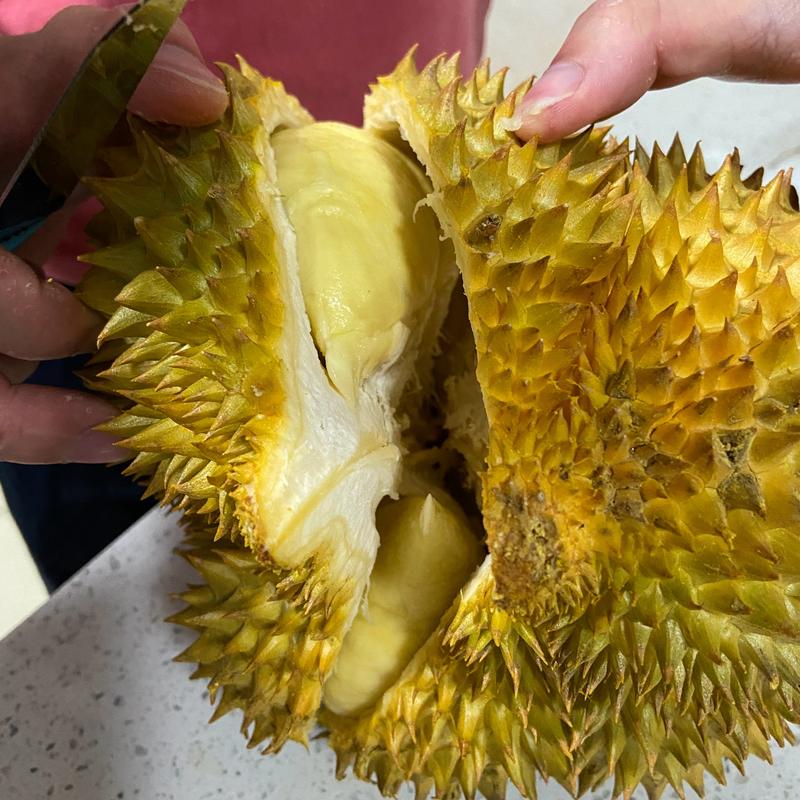 原创大家都在晒"最近开的榴莲",这出肉率,我怀疑榴莲是来报恩的!