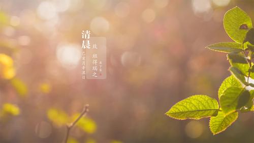 致-班得瑞音乐之"清晨"