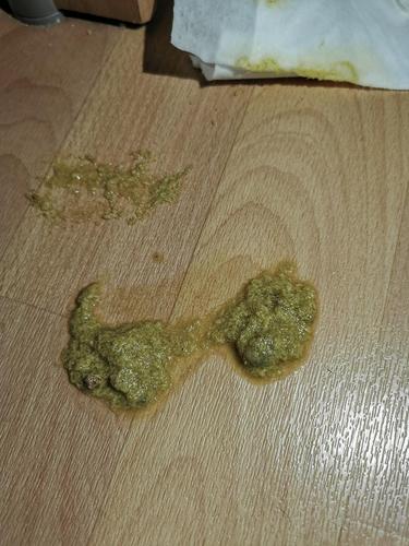 家里两只猫咪拉肚子两三天了,有呕吐物和便便照片,慎入